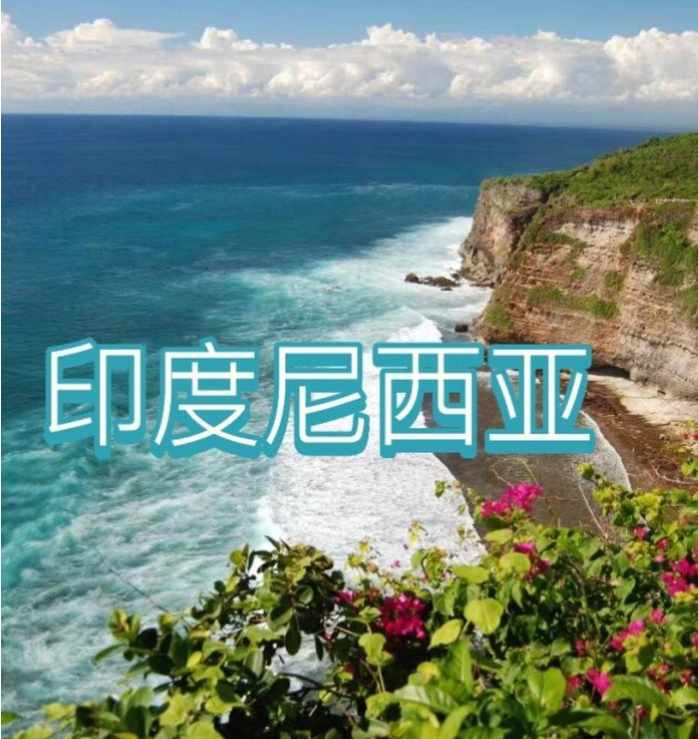 国际电商(印尼)产业博览会电子pg游戏2025中国(图1)