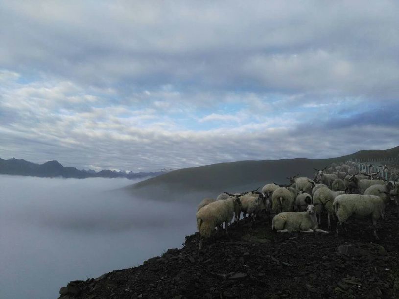中国】达瓦更扎看云海pg电子中国【大美(图4) 中国】达瓦更扎看云海pg电子中国【大美(图4)