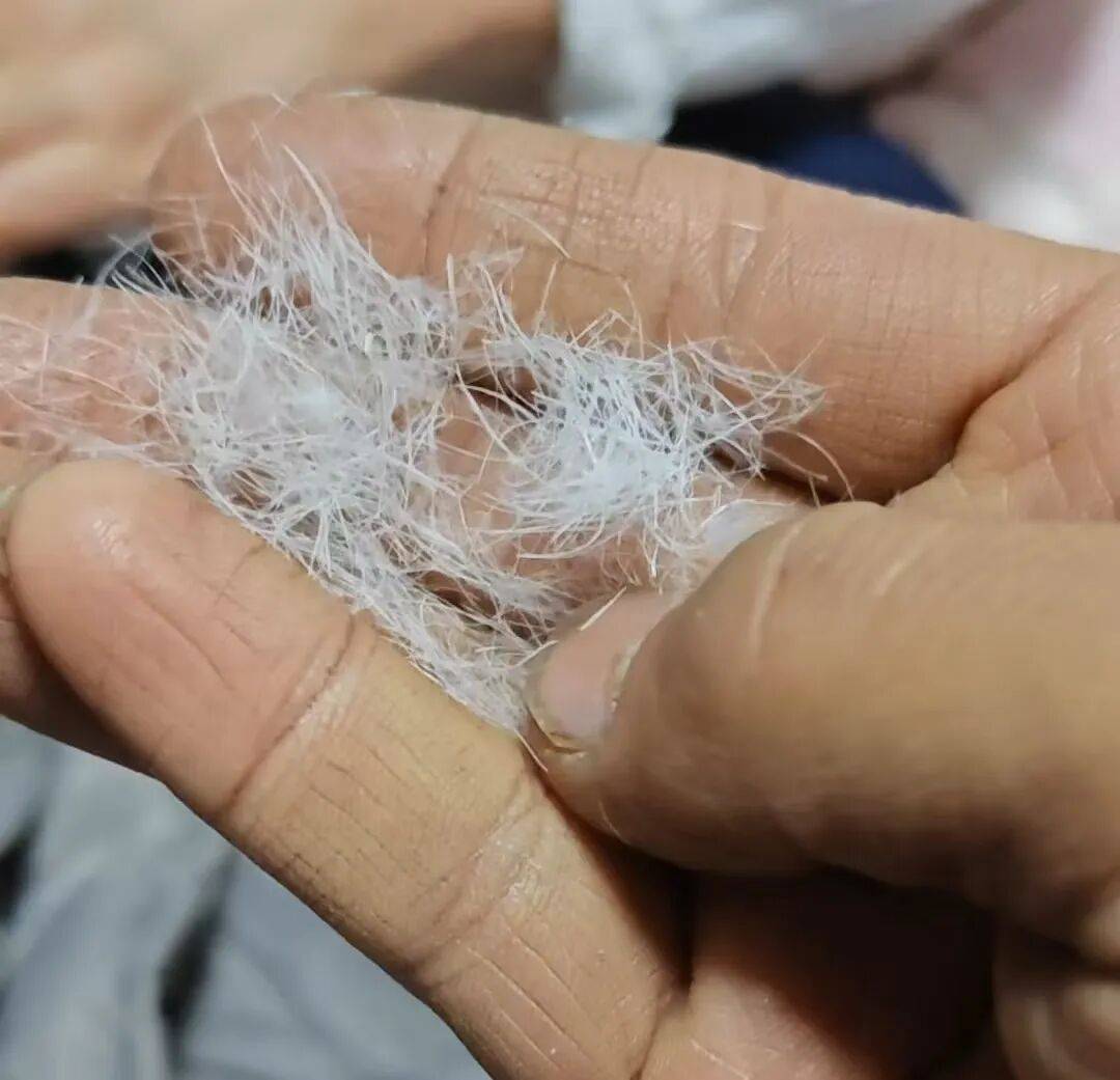 ”消费者怀疑是假货商家悄悄删改宣传语pg模拟器买抗寒睡袋“鸭绒”变“鸭毛(图2)